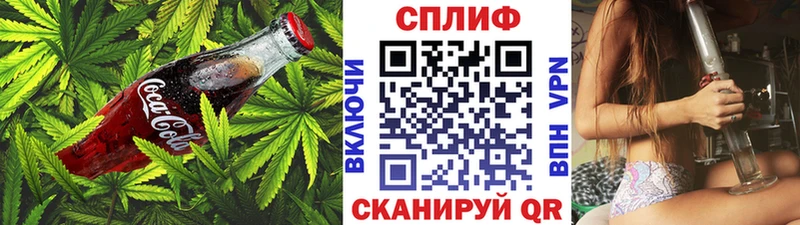 ссылка на мегу ссылка Терек Cannafood конопля