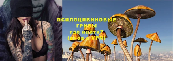 PSILOCYBIN Аркадак