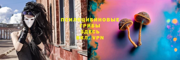 PSILOCYBIN Аркадак