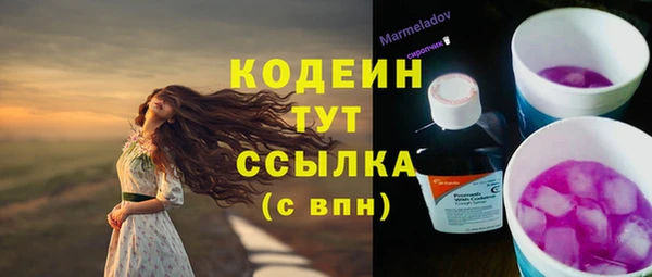 PSILOCYBIN Аркадак