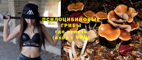 шишки Армянск