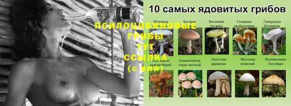 PSILOCYBIN Аркадак