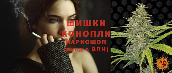 шишки Армянск