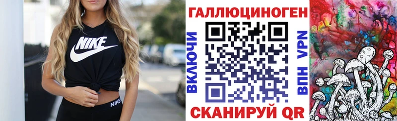 купить наркотик  Терек  Псилоцибиновые грибы Psilocybine cubensis 